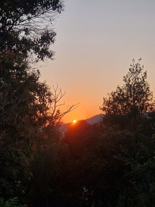 Ausblick Exe Cristal Palace