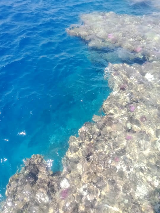 Strand Pickalbatros Palace Hotel-Port Ghalib