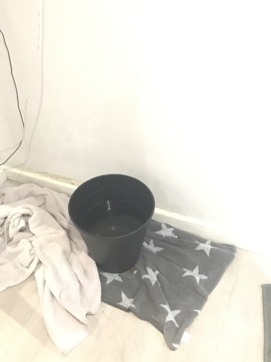 Zimmer Perla Seven Apartments