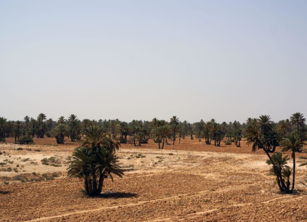 Вид на пустыню Hotel Bravo Djerba