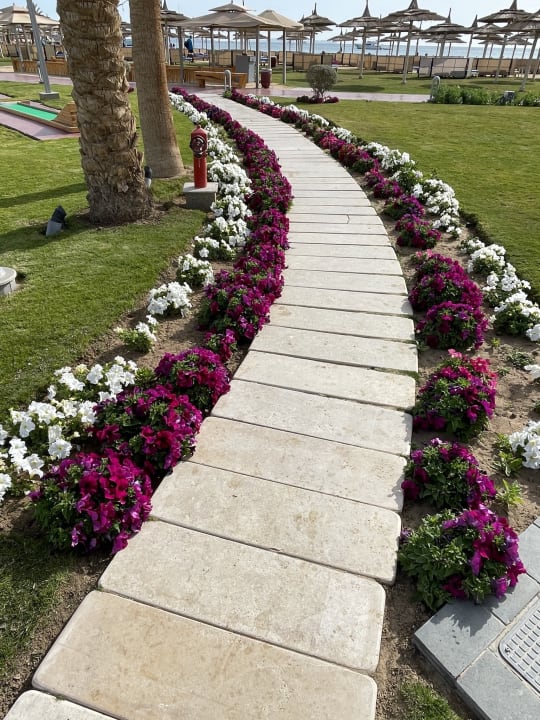Gartenanlage Pickalbatros White Beach Resort - Hurghada
