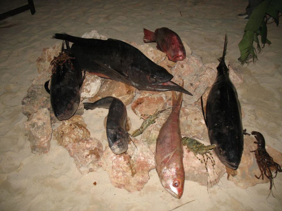 Beachbarbecue Royal Zanzibar Beach Resort