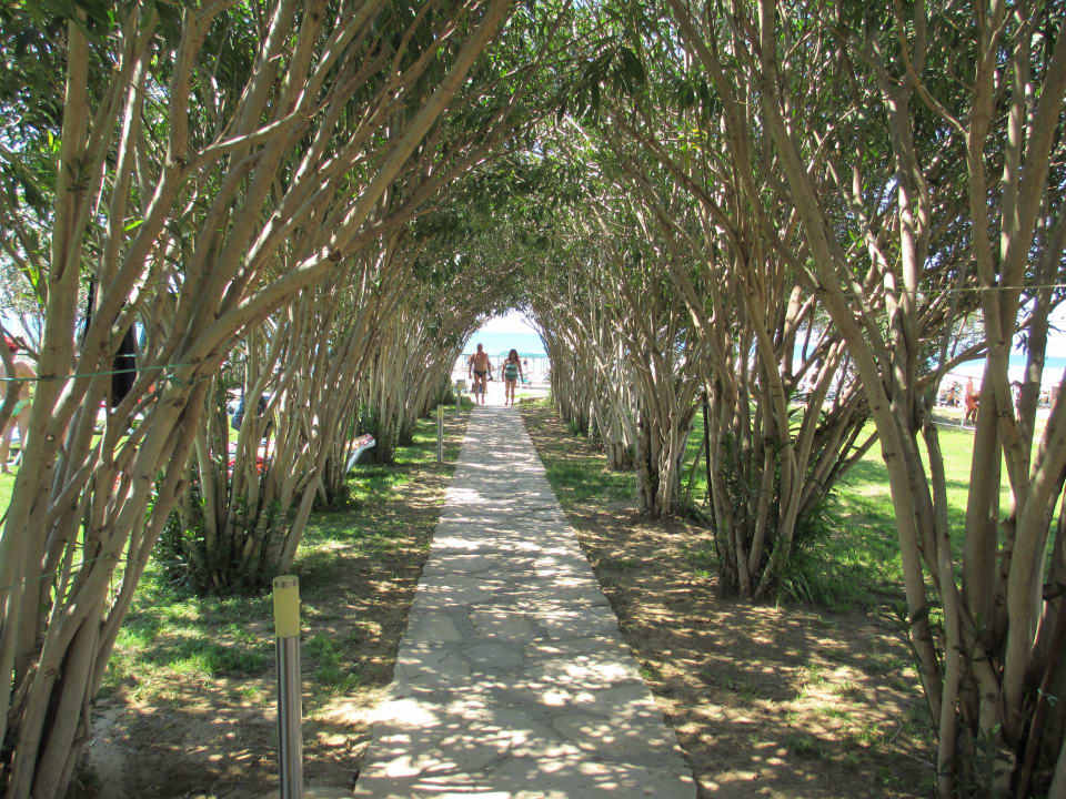 Baum-/Blumenallee zum Strand Seher Kumköy Star Resort & Spa