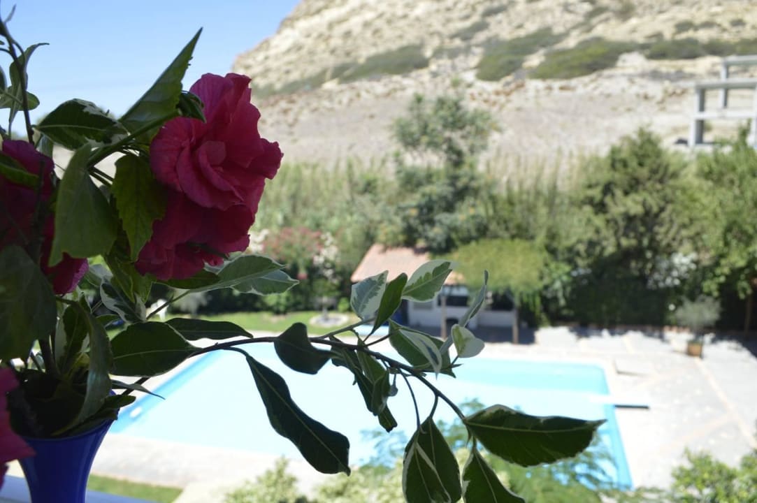 Pool Matala Bay Hotel & Apartments