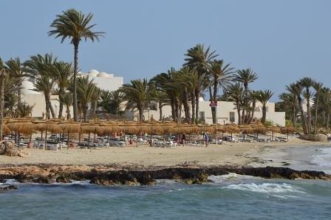 Strand - Seegras Hotel El Mouradi Djerba Menzel