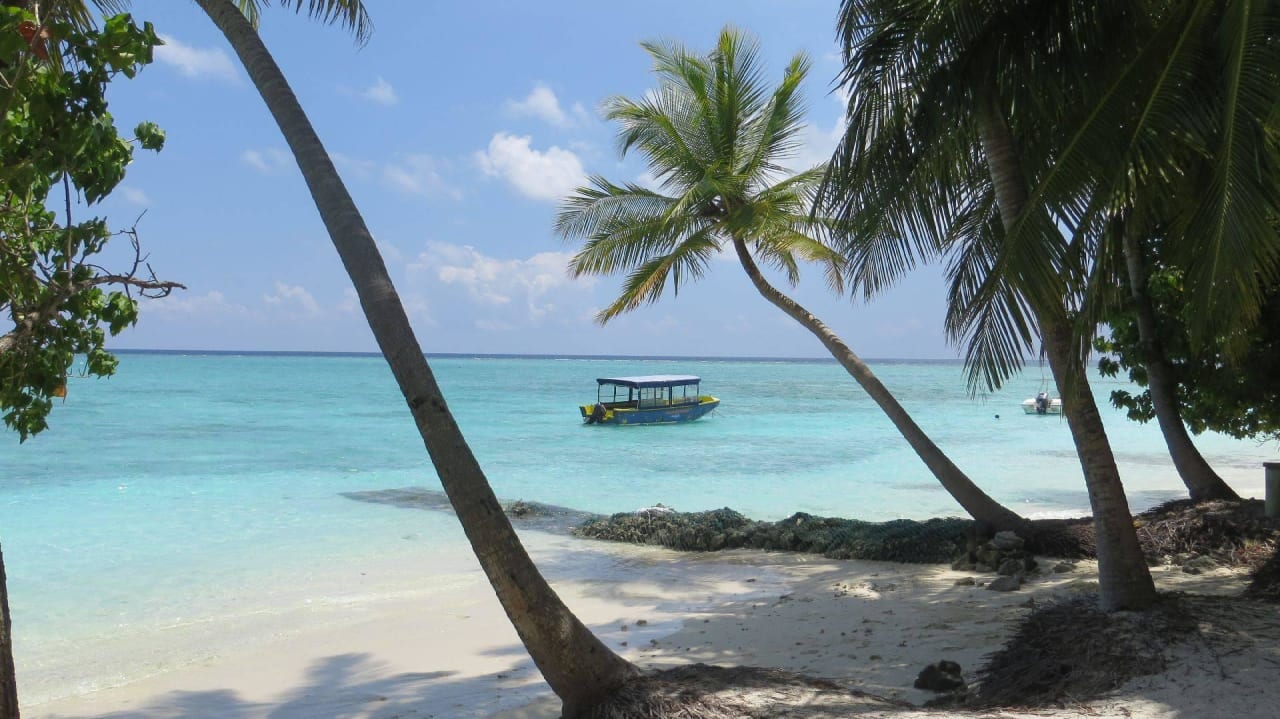 Hotel Fihalhohi Island Resort Fihalhohi Maldives
