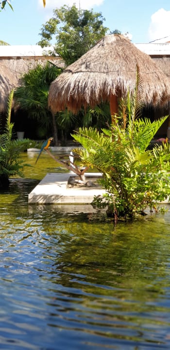 Garten Iberostar Waves Paraiso del Mar