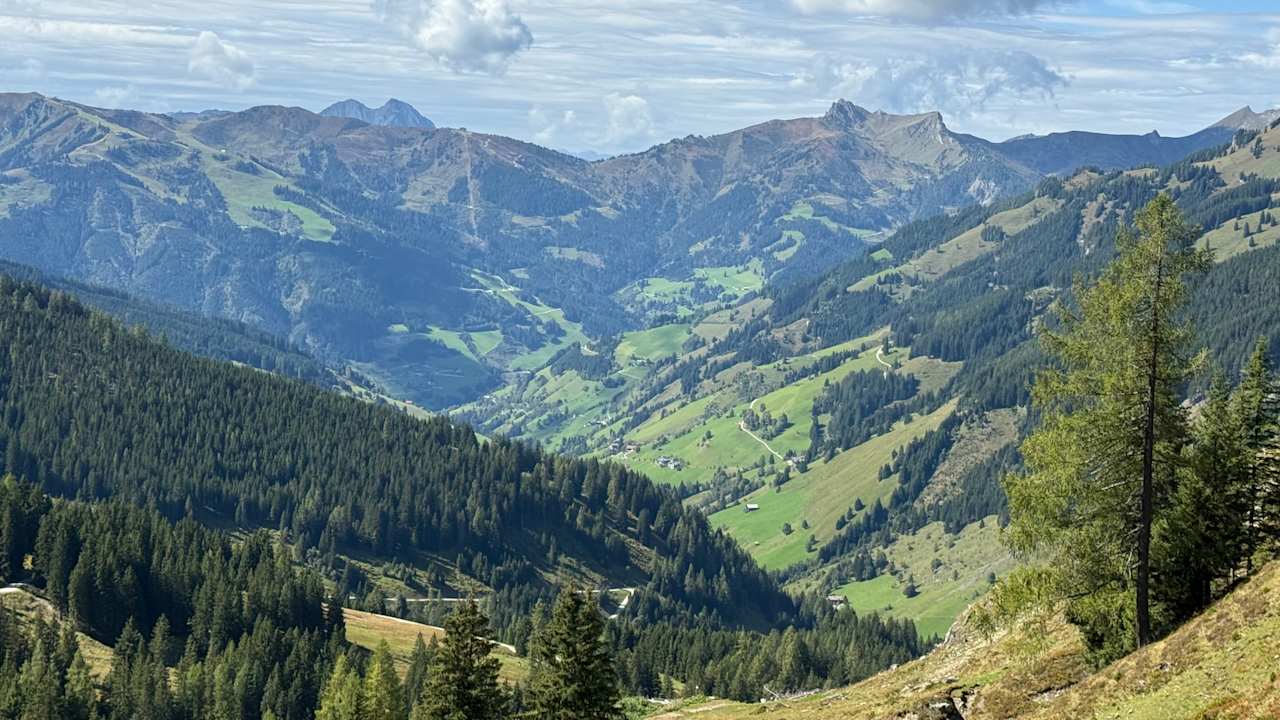 Sonstiges Hotel Auhof