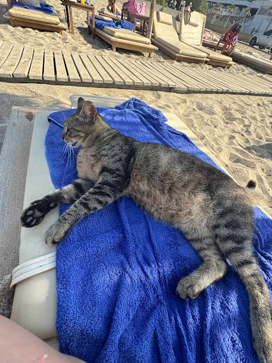 Strand Bella Beach Hotel