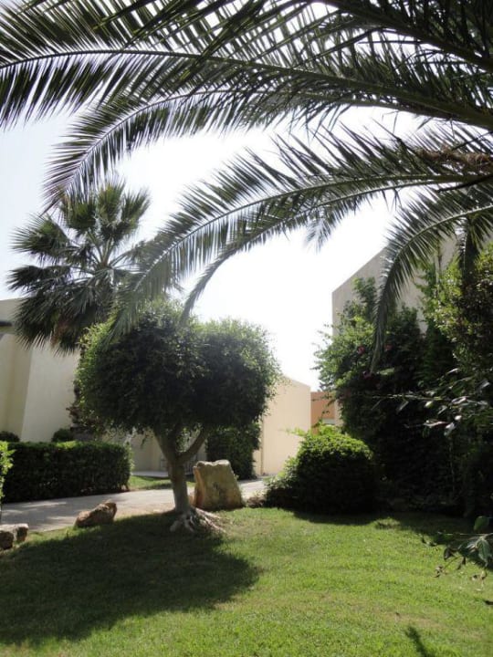 Ogród allsun Hotel Malia Beach