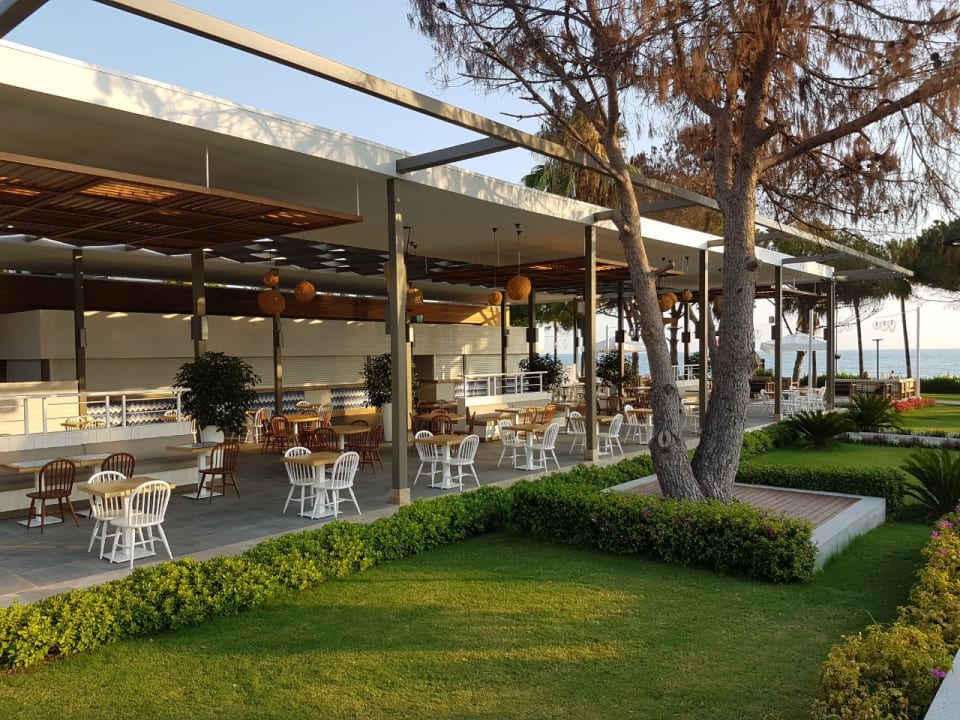 Restaurant Acanthus Cennet Barut Collection