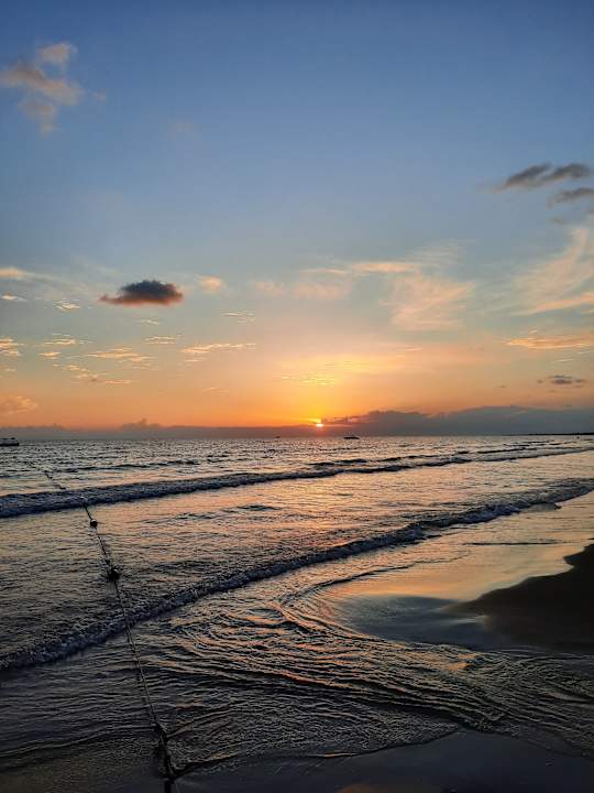 Strand Paloma Oceana