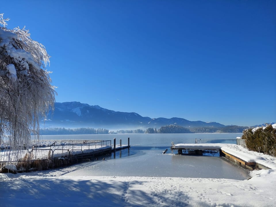 Ausblick Das Moser - Hotel am See
