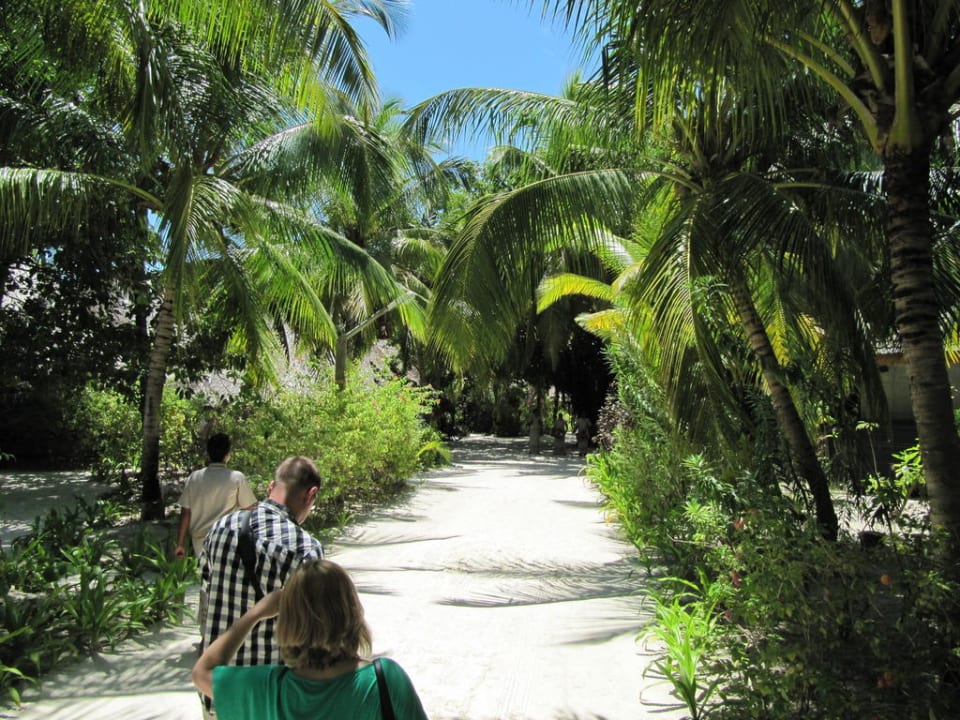 Weg vom Steg zur Insel Kuredu Island Resort & Spa