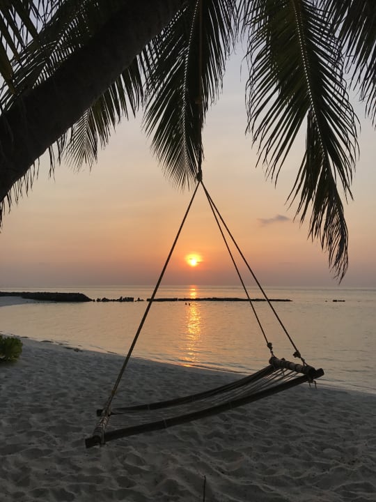 Strand Summer Island Maldives