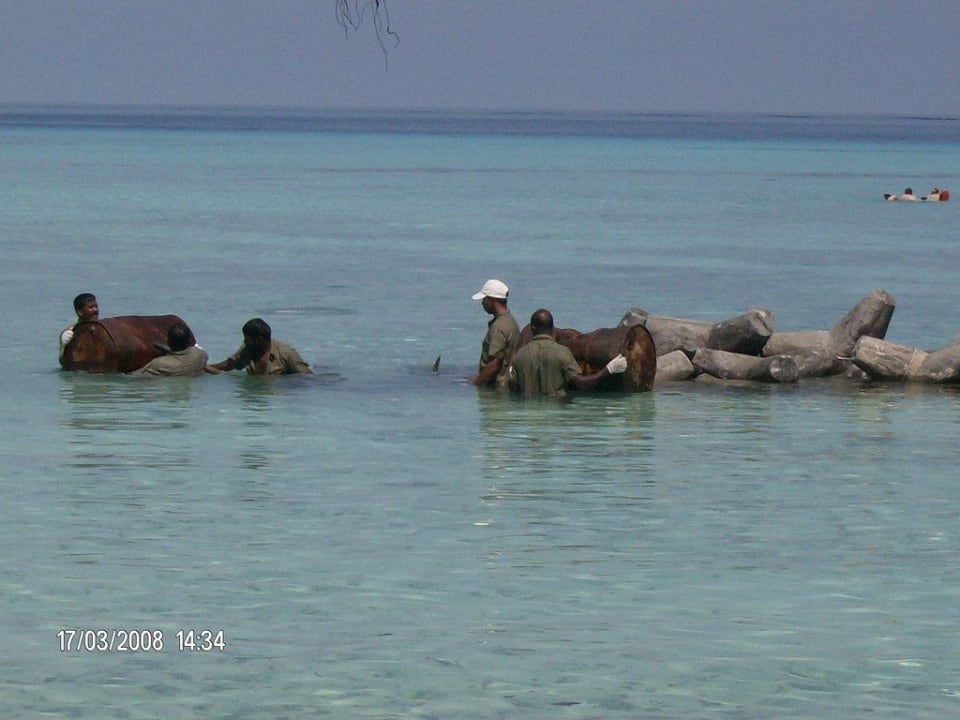 Angestellte bei der Arbeit Summer Island Maldives