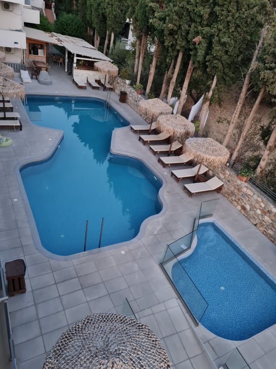 Pool Sunny Days