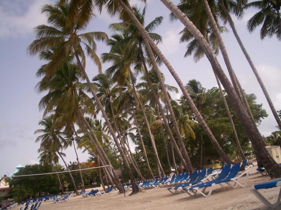 Strand Dreams La Romana Resort & Spa