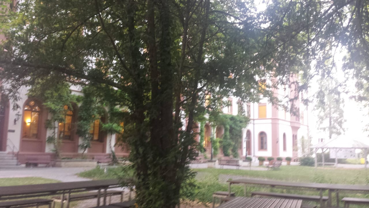 Garten vor dem Hotel Hotel Odelya