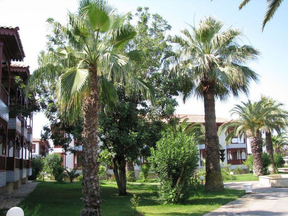 Hotelanlage Ali Bey Club