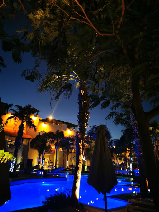 Gartenanlage Steigenberger Aqua Magic