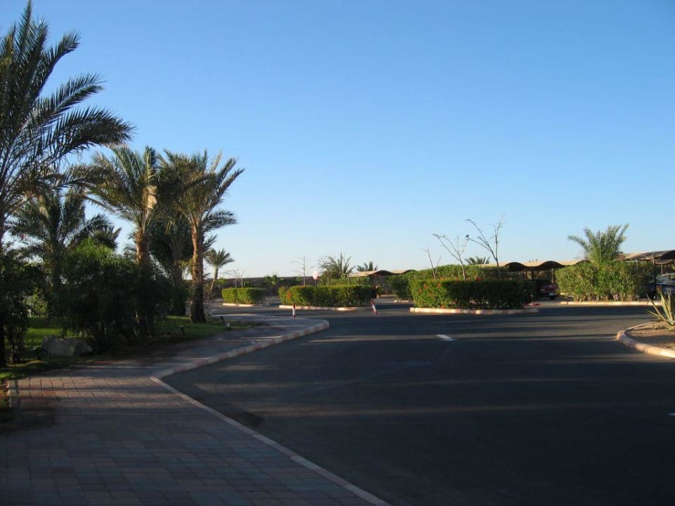 Hoteleinfahrt Steigenberger Coraya Beach - Adults only