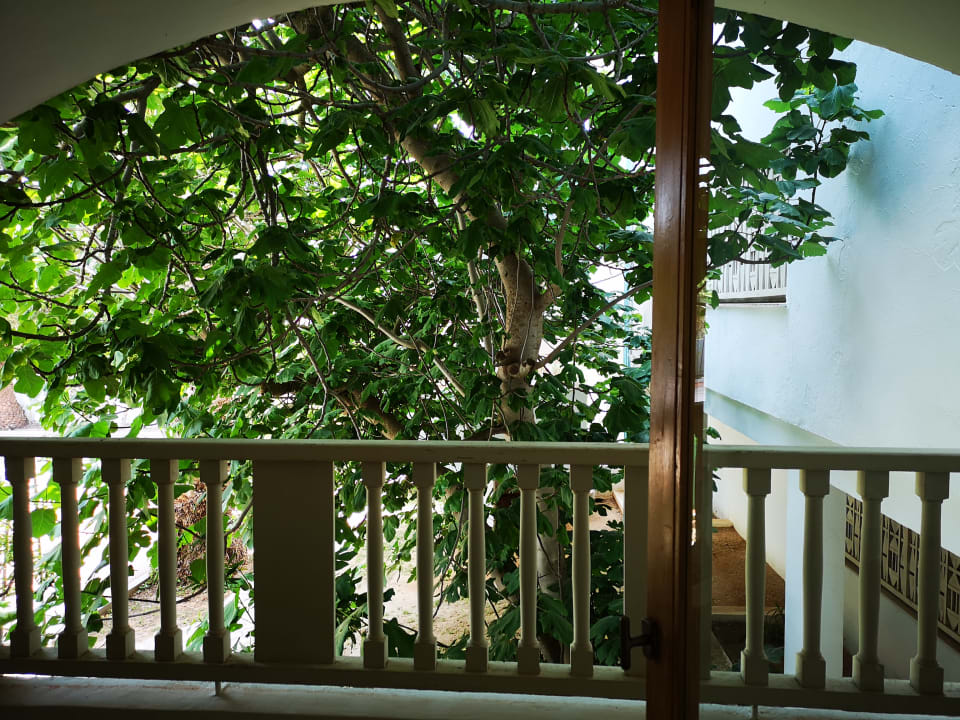 Ausblick The Orangers Beach Resort and Bungalows