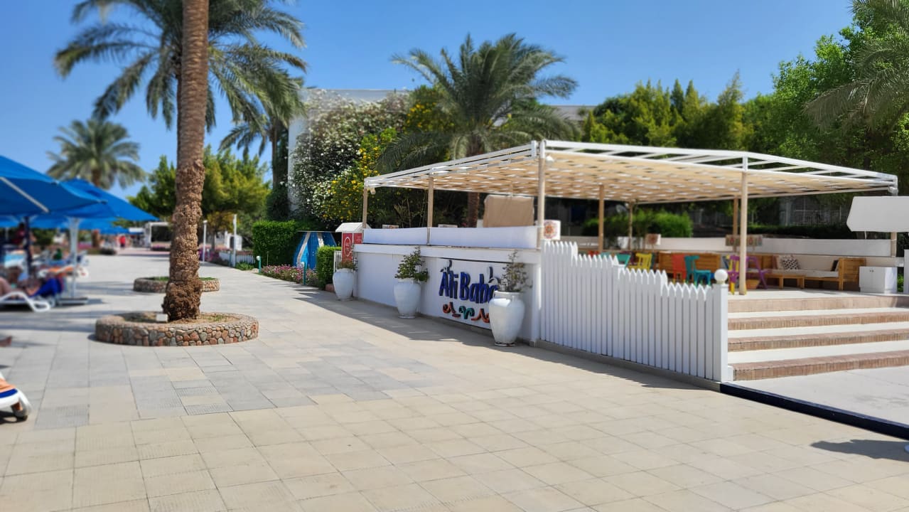 Sport & Freizeit Desert Rose