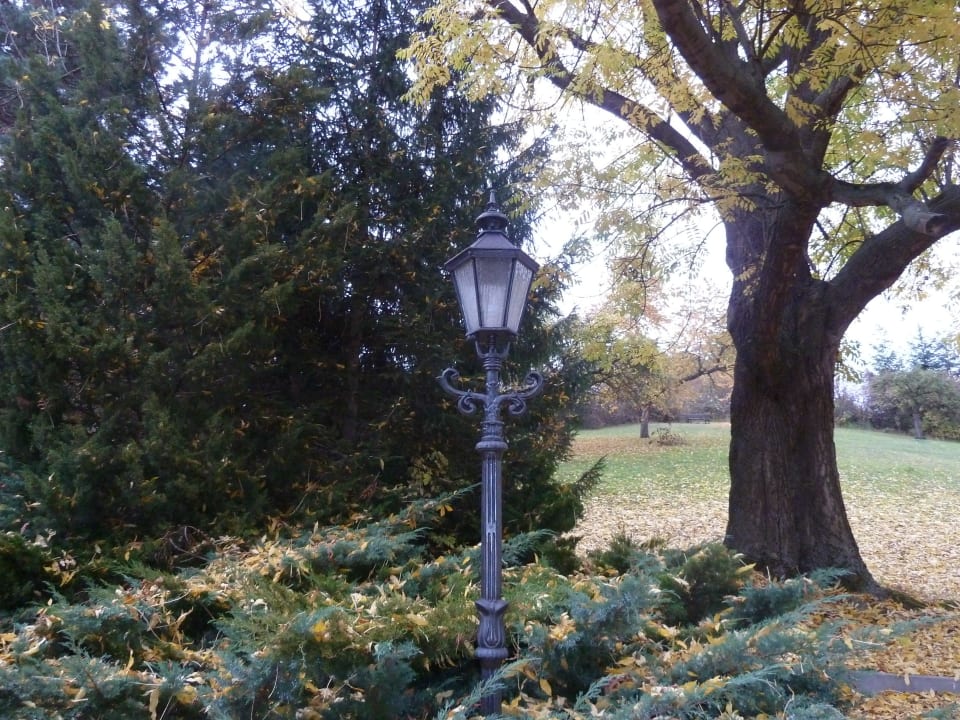 Schlosspark Schlosshotel Stecklenberg