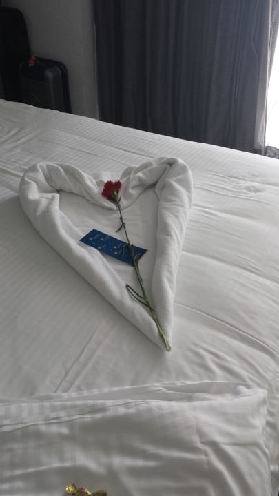 Petite surprise Iberostar Waves Bahia de Palma