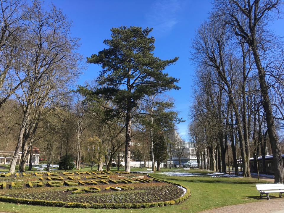 "Gartenanlage" Best Western Premier Parkhotel Bad Mergentheim (Bad