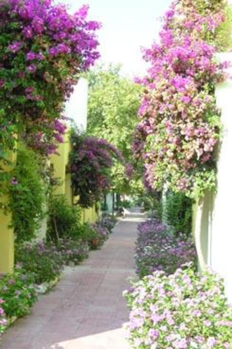 Hotelanlage VONRESORT Golden Beach