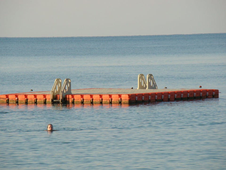 Molo Papillon Ayscha