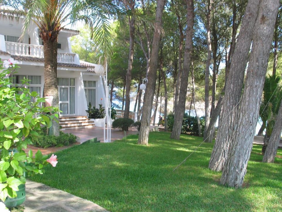 zur Strandseite Iberostar Waves Pinos Park