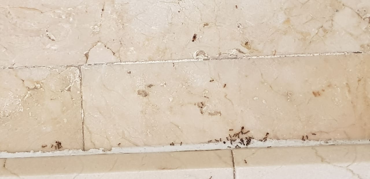 Sonstiges Hotel Riu Palace Jandia