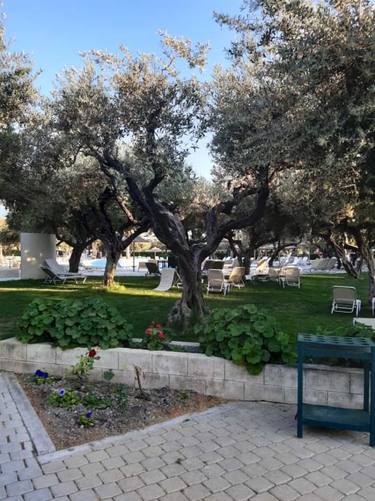 Gartenanlage TUI KIDS CLUB Alex Beach