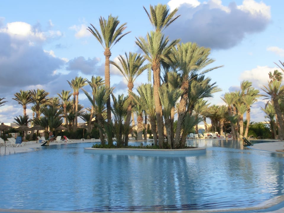 Palmen im Pool Zita Beach Resort