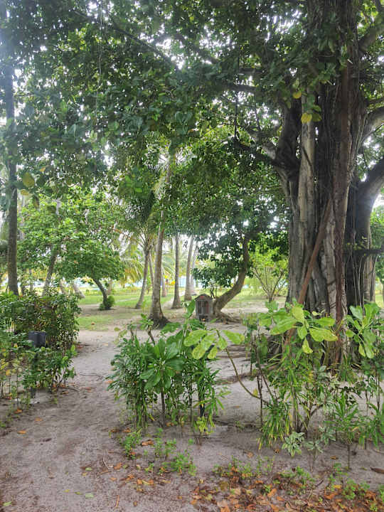 Gartenanlage Meeru Maldives Resort Island