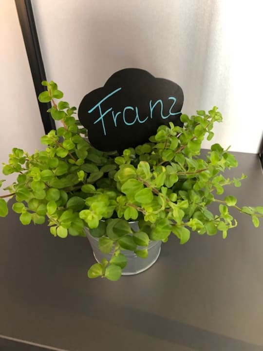 Zimmer Holiday Inn – the niu, Charly Frankfurt City