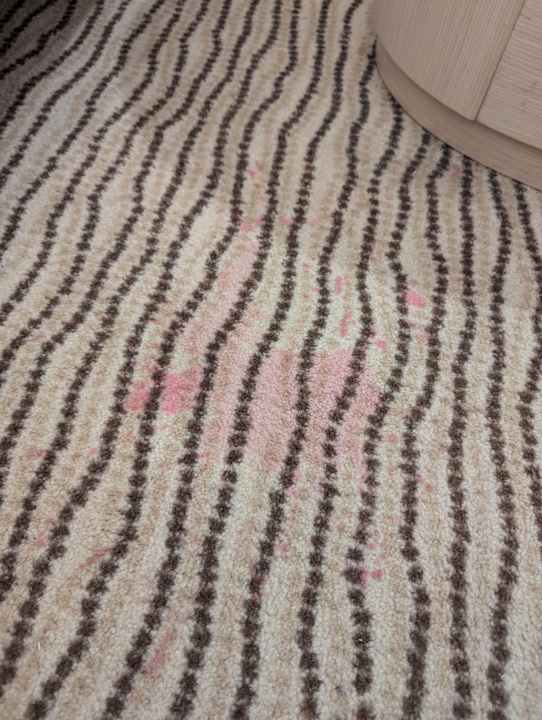 Zimmer Olympian Bay Grand Resort