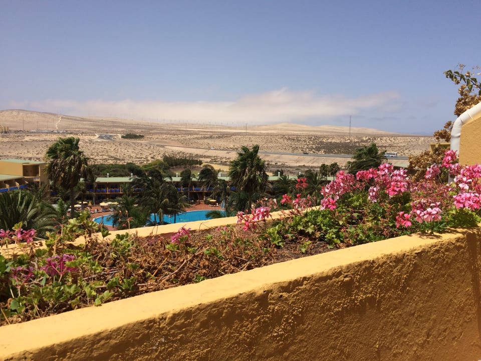 Ausblick Club Hotel Drago Park