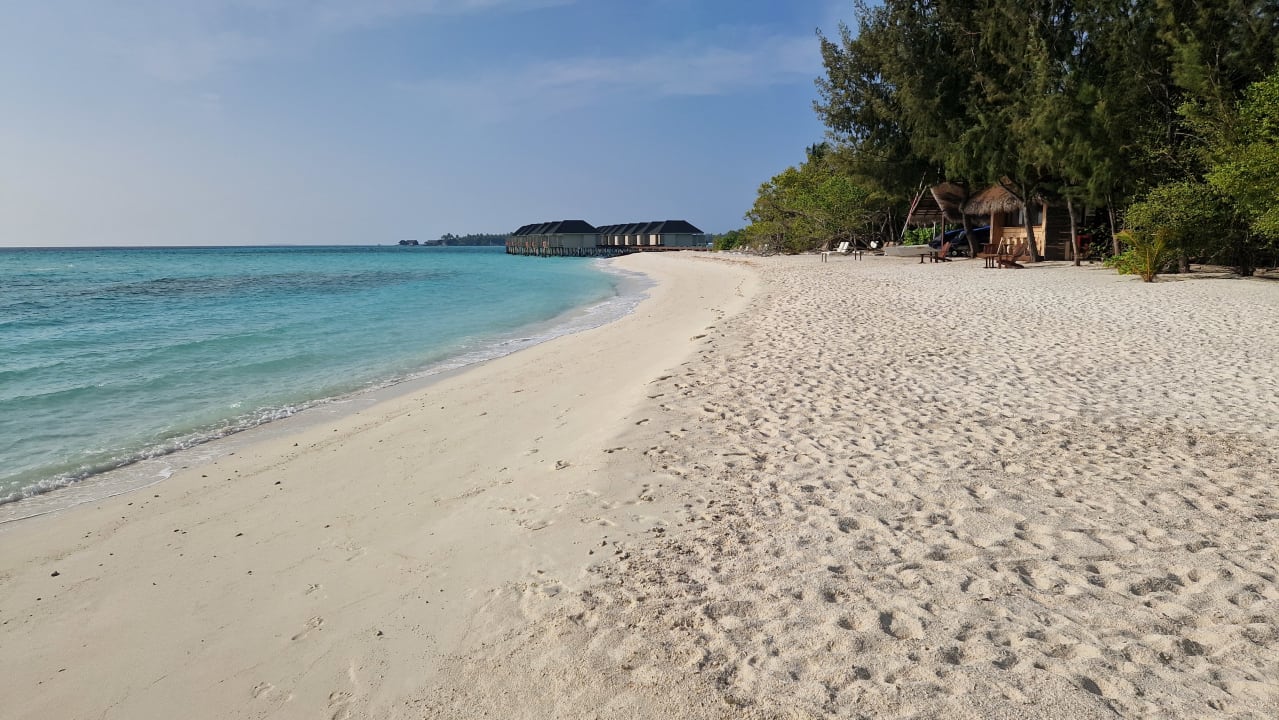 Strand Summer Island Maldives