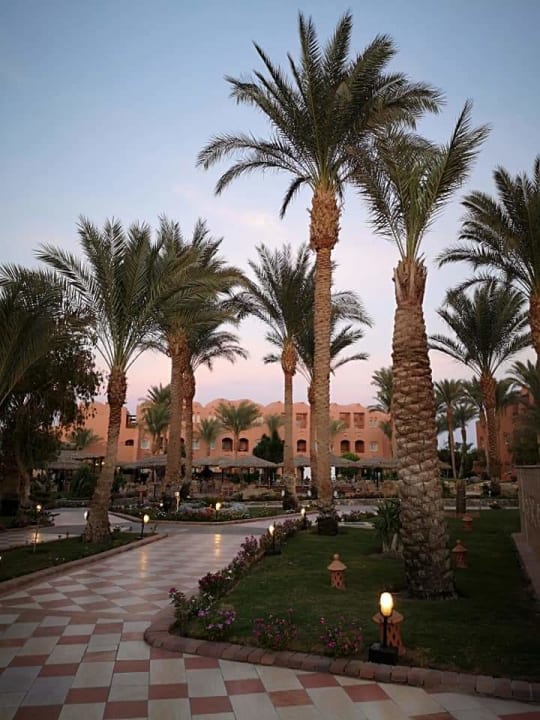 Gartenanlage Jaz Makadi Oasis Resort