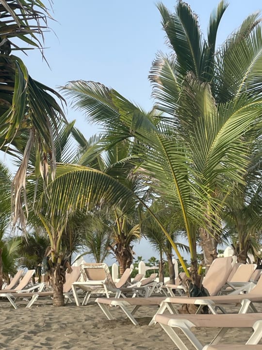 Strand Hotel Riu Karamboa