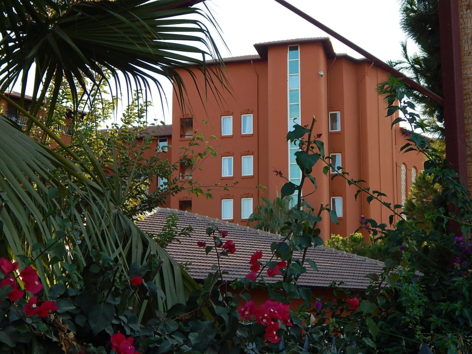 Hotel Club Turtas Beach Hotel