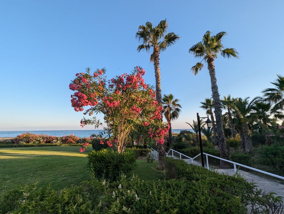 Gartenanlage Alba Queen Hotel