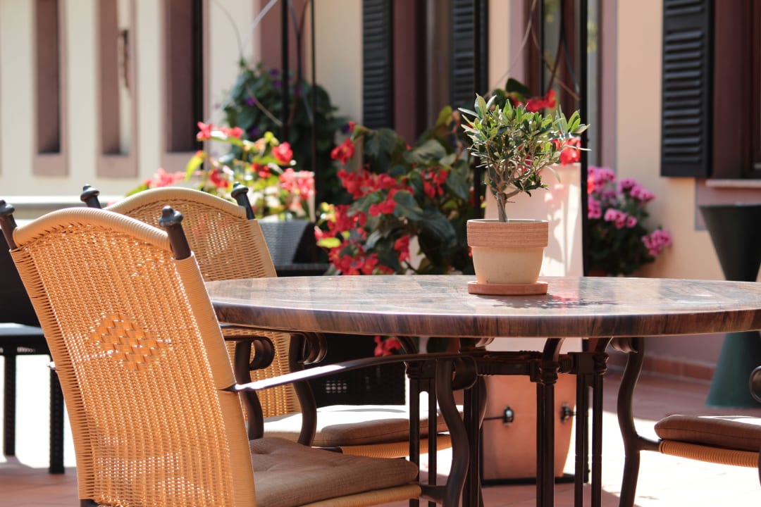 Sonnenterrasse Hotel Blesius Garten