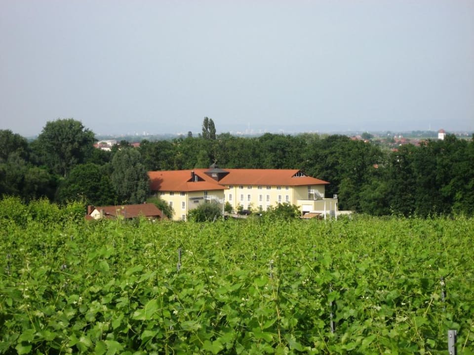 Hotel direkt an den Weinbergen MAXX by Steigenberger Deidesheim