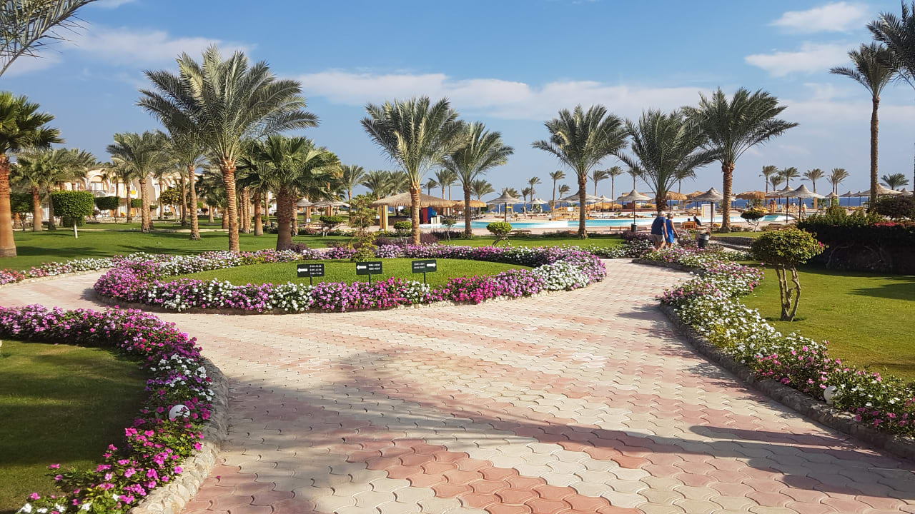 Gartenanlage Three Corners Sea Beach Resort