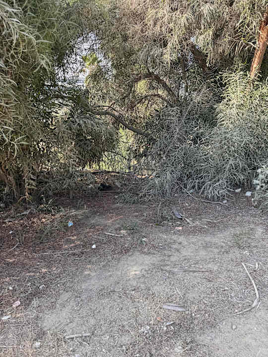 Strand Hotel Novum Garden Side